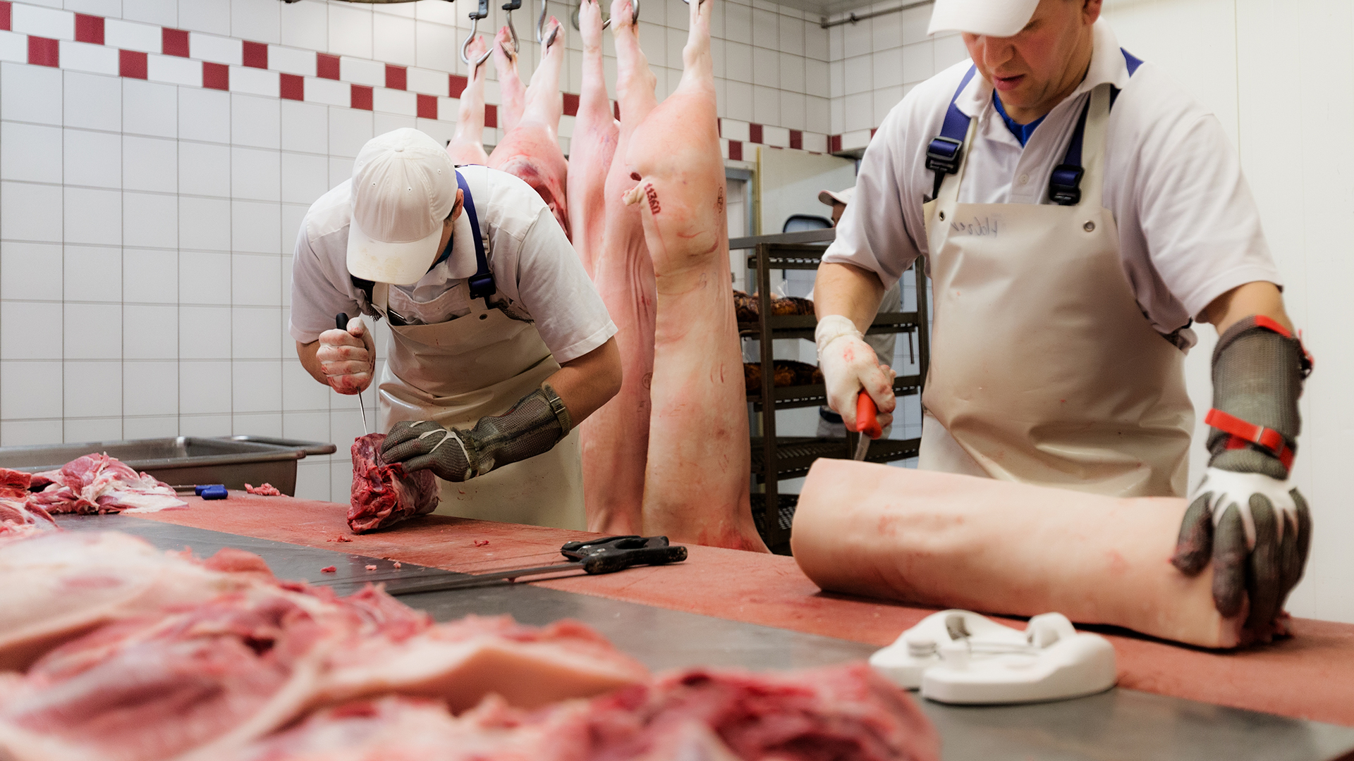 Polen, Tschechien, Rouladen, groß, Speck, Zwiebeln, saurer, Gurke, gerollt, Rollen, Küchengarn, zusammengebunden, Rouladennadeln, Zahnstocher, fixiert, kurz, heiß, angebraten, geschmort, Rinderschulter flach, Schulterblatt, Blattschulter, fein, Fleischfasern, dünnen, Bindegewebsstrang, durchzogen, Mitte,  Charakteristisch, Sehne, Feinschmeckern, Schmorbraten, Tellerfleisch, Rinderschulter dick, Rindersemerrolle, Jungbullenrolle, Rinderkeule, Schwanzrolle, Meisel, Sauerbratengericht, gleichmäßig, positioniert, portioniert, Profikoch, Rindertafelspitz, Tafelspitz, spitz, zulaufend, Ende, Muskelstrang, auslaufend, Schwanzstück, Hüftdeckel, grenzt, Sous-Vide-Garen, Suppenknochen, Markknochen, Rindermarkknochen, Röhrenknochen, Brühen, Soßen, Zwerchrippe vom Rind, vordere, Rinderrippe, Hals, Hochrippe, Bindegewebe, Kochen, klare, Fleischsuppe, Eintopf, Profigriller, Zwerchrippe, besser, Short Ribs, Smoken, Hähnchen ganz, Winter, Außen, innen, Hähnchenfleisch, Hähnchenbrust mariniert, Hähnchenbrust, Ingwer, Aromen, Curry, Hähnchenbrustfilet